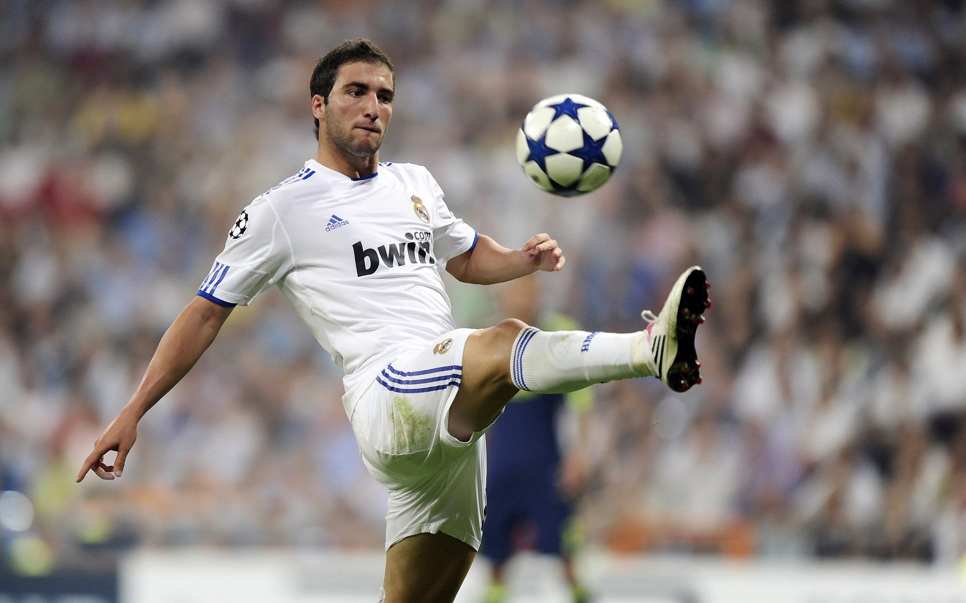 比利时举重选手在比赛中展现出顽强拼搏精神，比利时举重队